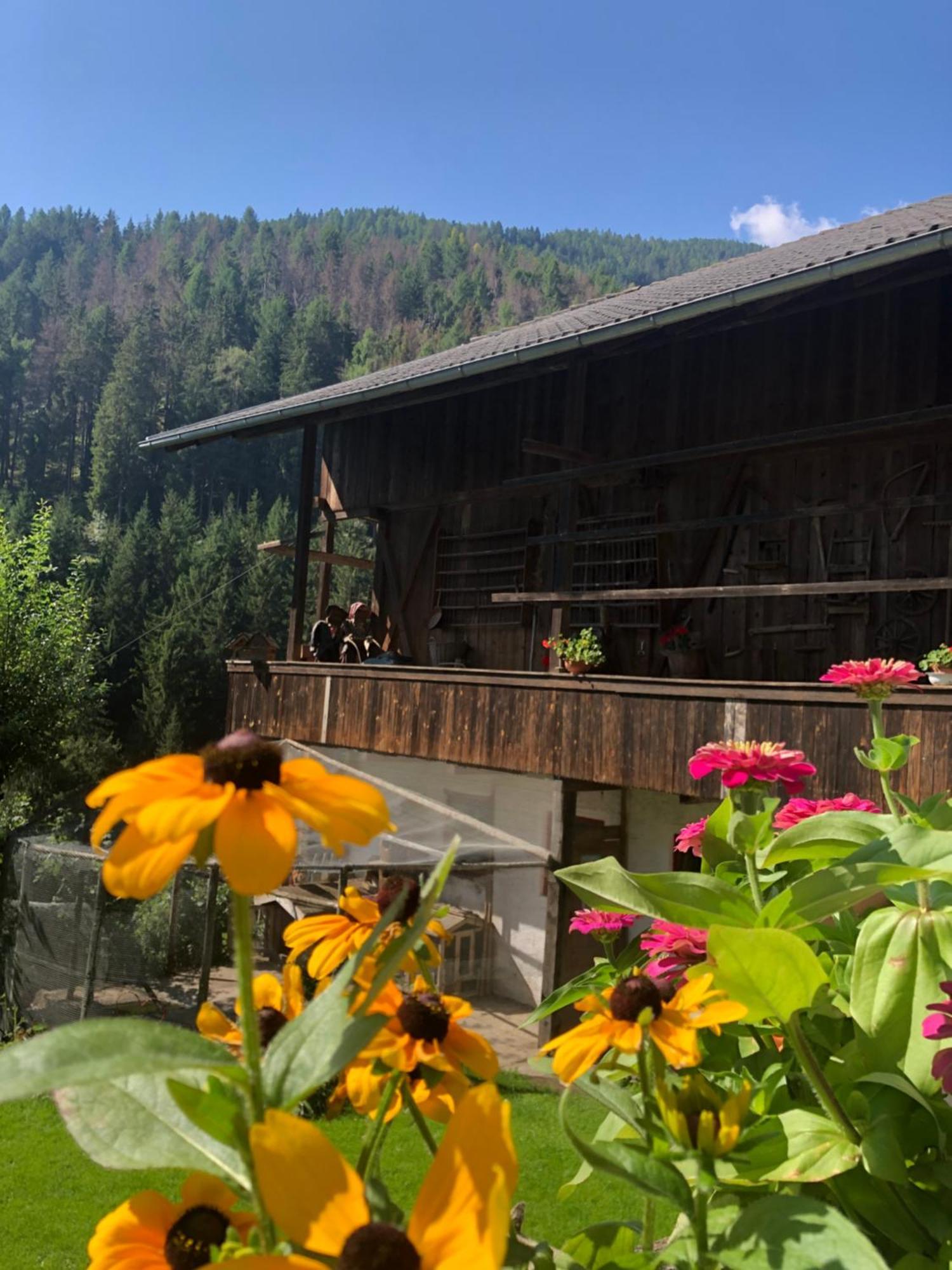 Апартаменты Thalerhof Сан-Лоренцо-ди-Себато Экстерьер фото