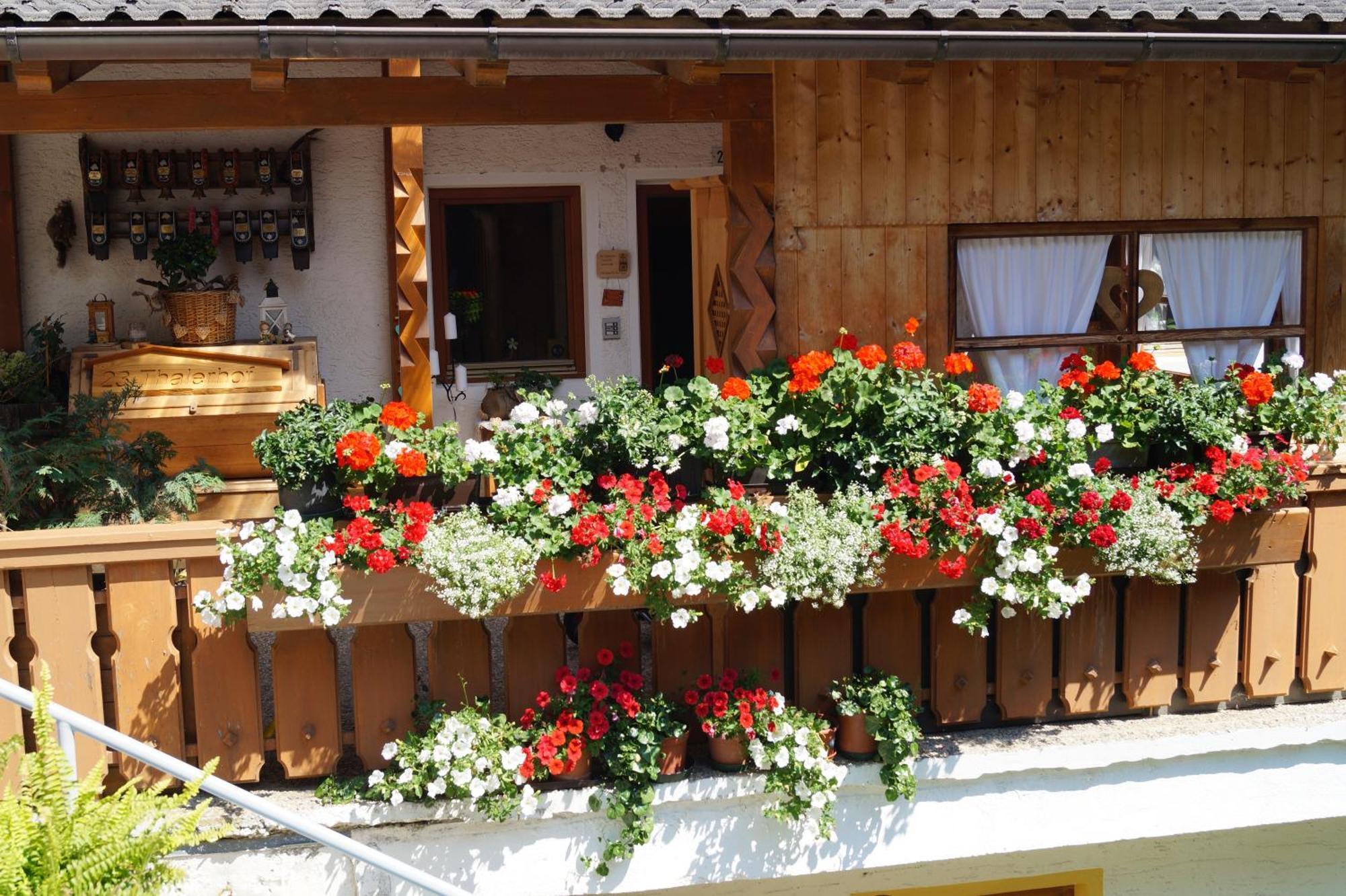 Апартаменты Thalerhof Сан-Лоренцо-ди-Себато Экстерьер фото